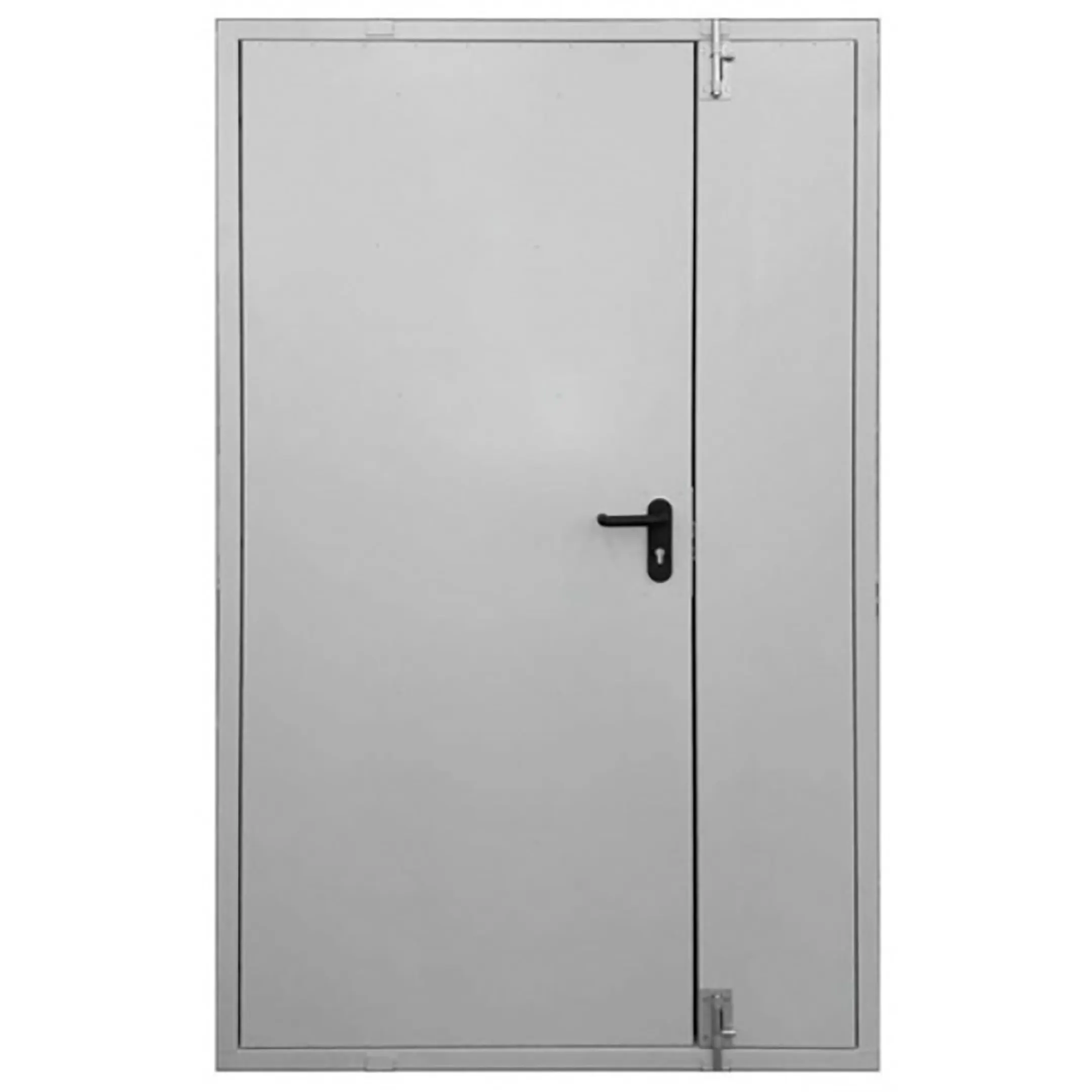 Дверь тамбурная металлическая ДТ-2-1250х2050